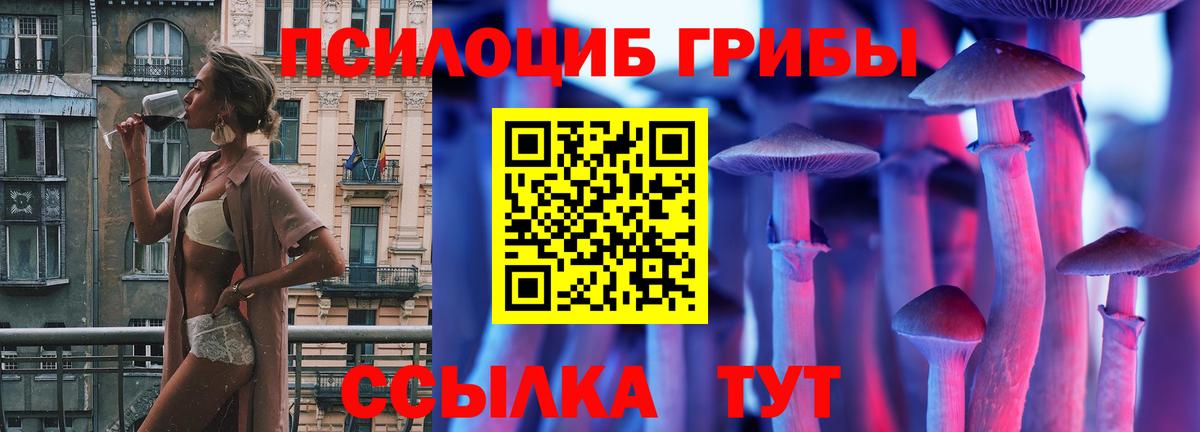 Туапсе  Галлюциногенные грибы GOLDEN TEACHER  Вход с VPN  Псилоцибиновые грибы прущие грибы 